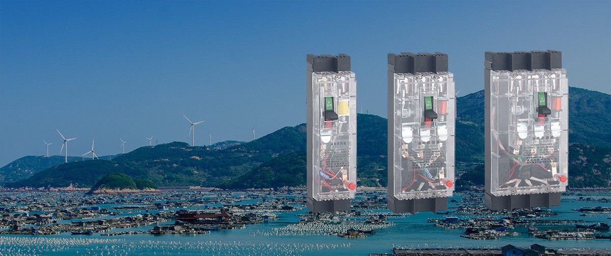 DZ15L-40透明系列